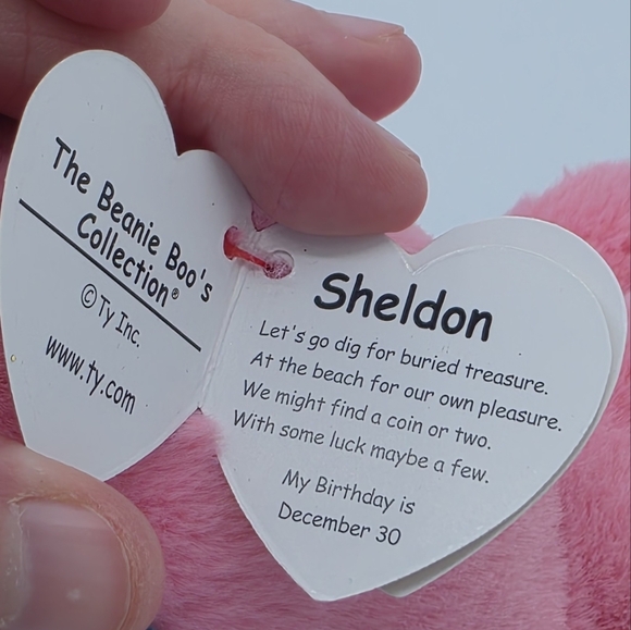 Ty Beanie Boos Sheldon The Octopus Beanie Baby Plush Toy - Picture 5 of 6